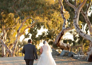 Spring Weddings