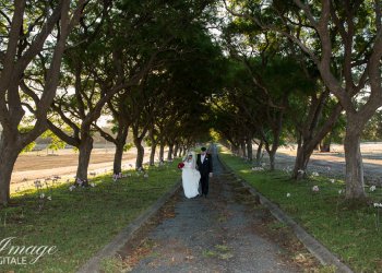 Summer Weddings