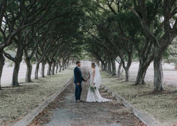 Summer Weddings